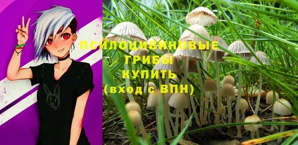 каннабис Абаза