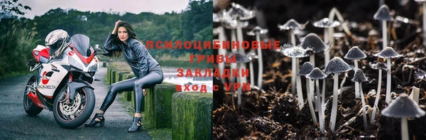 каннабис Абаза