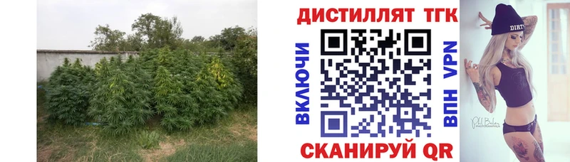 ТГК жижа  blacksprut маркетплейс  Кировград  где купить  