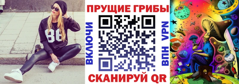 как найти наркотики  Кировград  Галлюциногенные грибы Psilocybine cubensis 